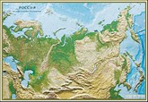 Портрет Д.А. Медведева